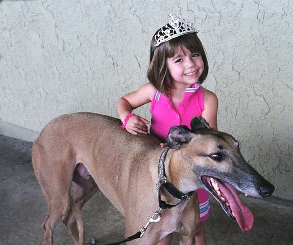 Carlin, a young girl, is petting Fargo, a large fawn Greyhound with a black mask.  She is wearing a pink princess costume with a tiara.