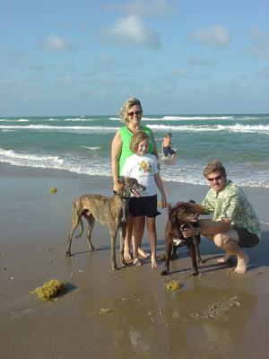 Rio, a brindle Greyhound, Bambi, a black lab cross, and three members of the Hanloh family pose on Padre Island.