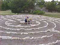 White Greyhound and person in middle of labyrinth made of white stone.