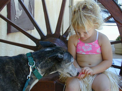 Sinbad, a dark brindle senior Greyhound with his young blonde friend, Emma. They are sitting in front of a large wagon wheel.